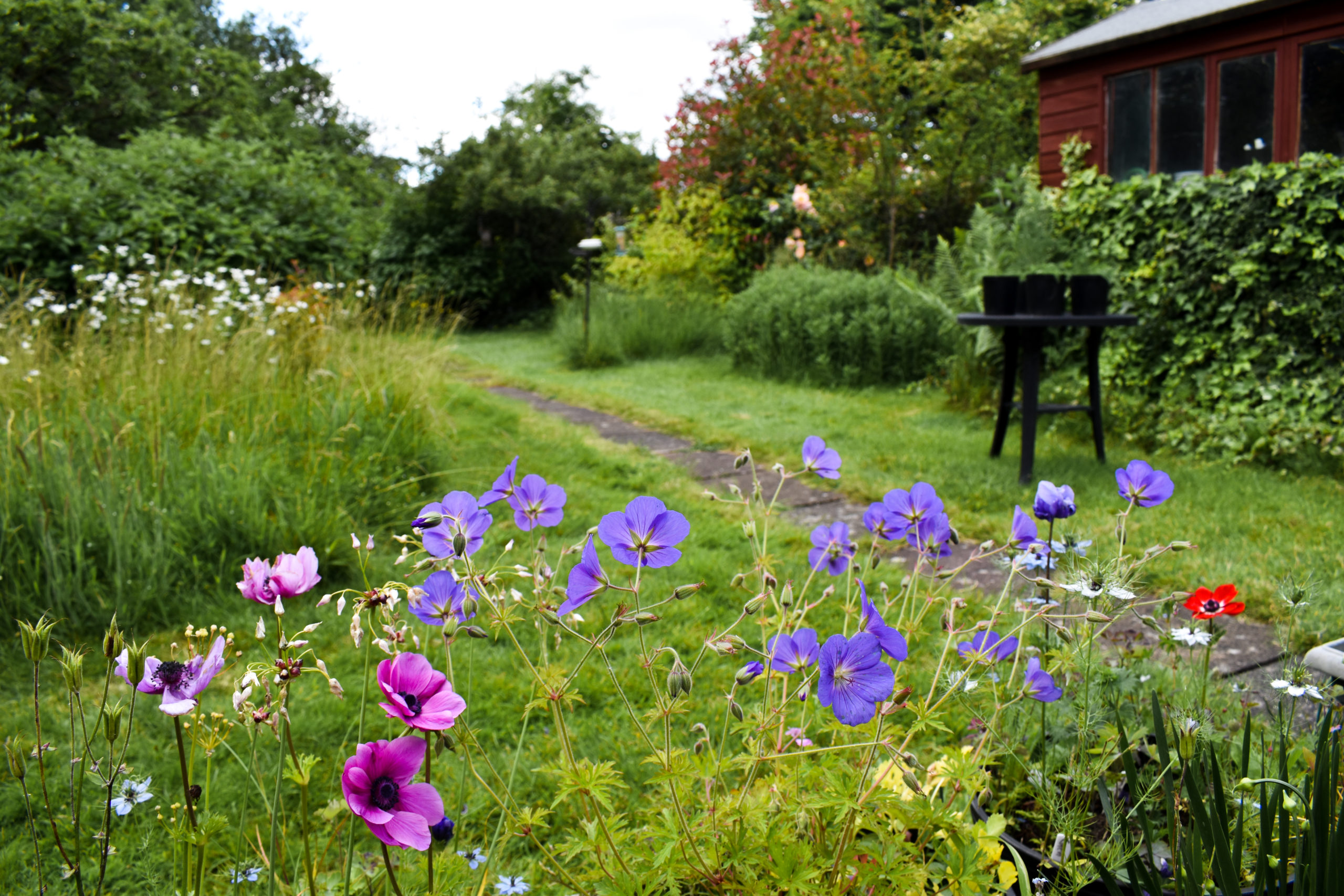 A Spring Garden